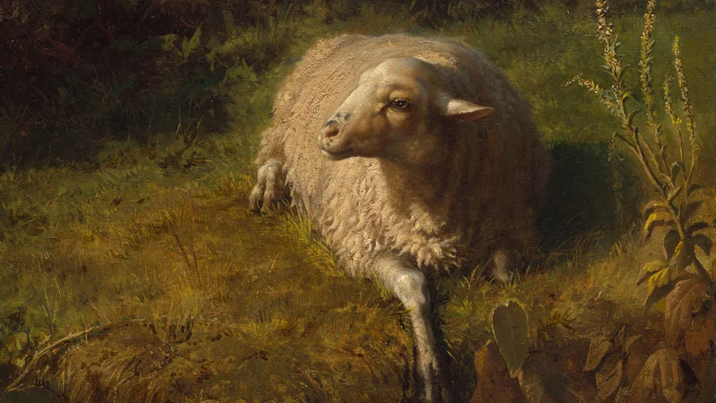Rosa Bonheur — A Sheep at Rest