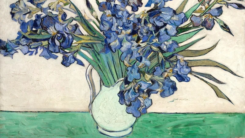 Vincent van Gogh — Irises