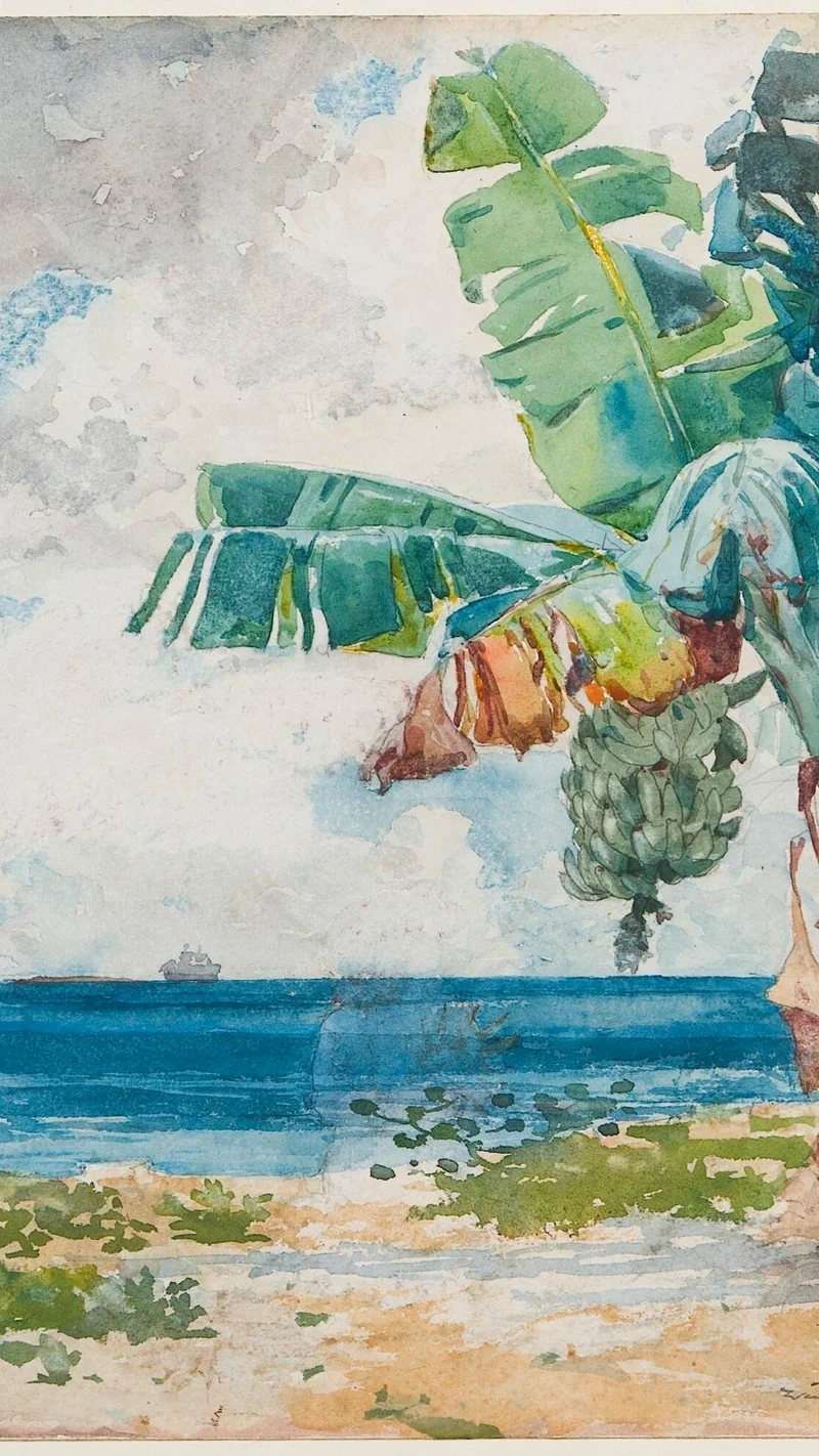Winslow Homer — Banana Tree, Nassau