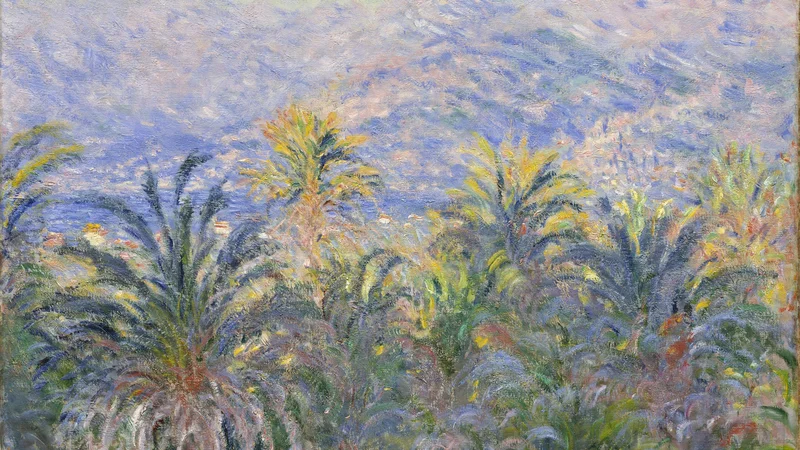 Palm Trees at Bordighera