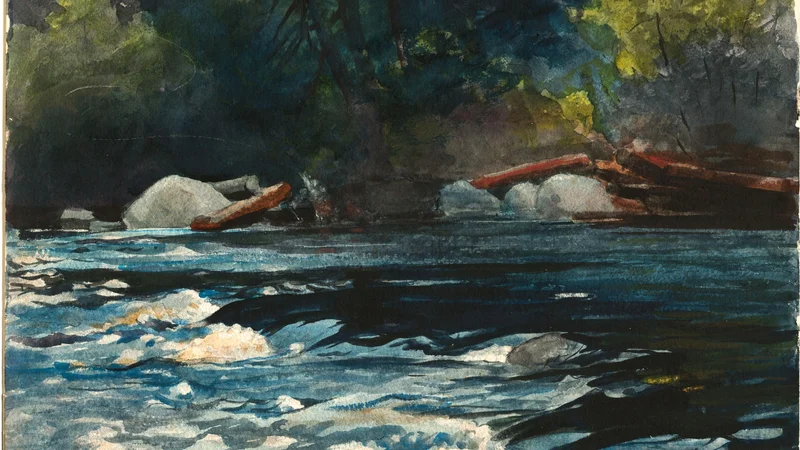 The Rapids, Hudson River, Adirondacks