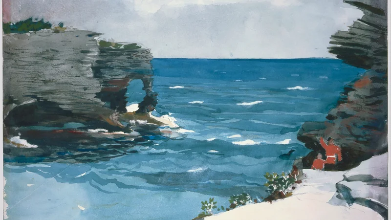Winslow Homer — Rocky Shore, Bermuda