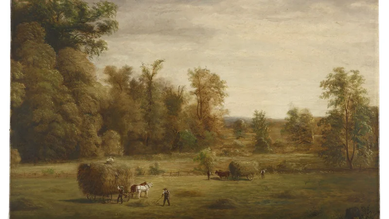 Jacob Cox — Sherman's Meadow