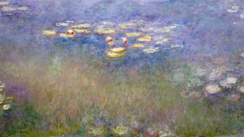 Water Lilies