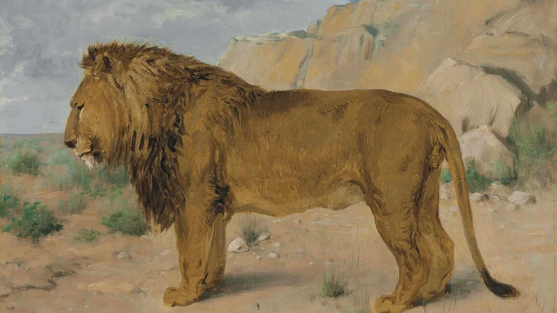 Rosa Bonheur — Study of a Lion