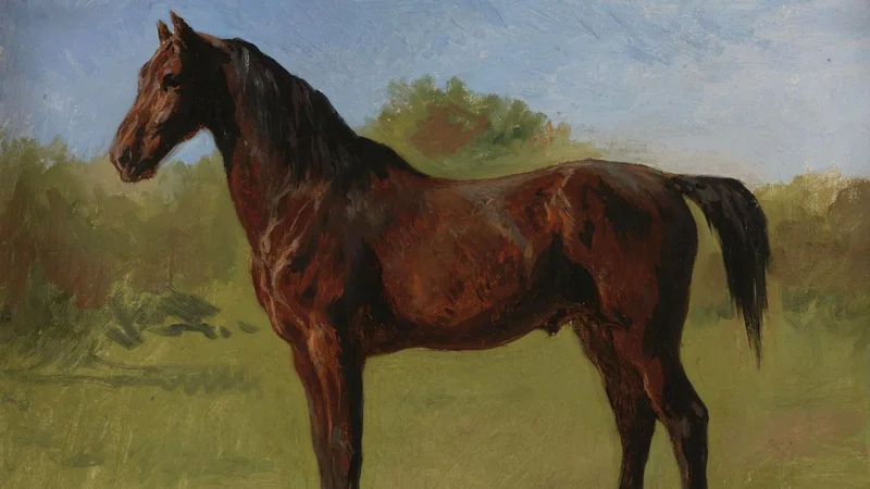 Rosa Bonheur — Study of a Brown Bay Horse
