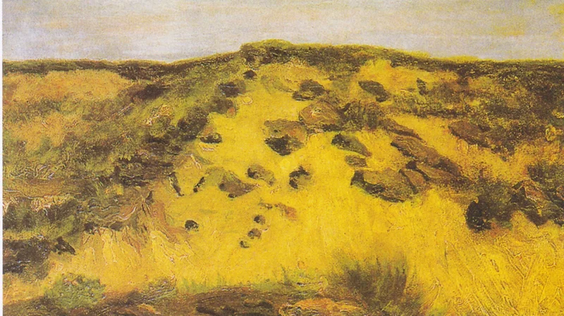 Paisagem com duna