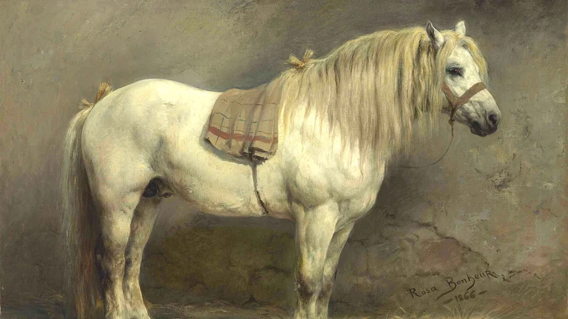 Rosa Bonheur — A White Horse
