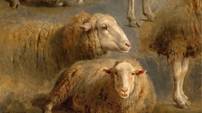Rosa Bonheur — A Study of Sheep