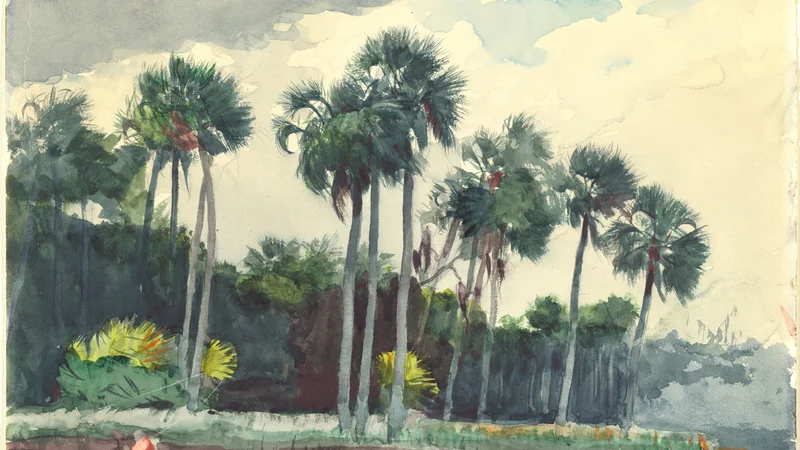 Winslow Homer — Red Shirt, Homosassa, Florida