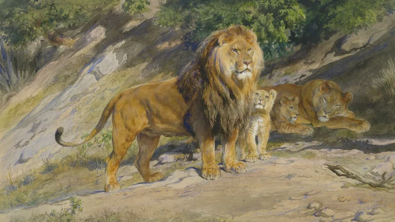 The King watches