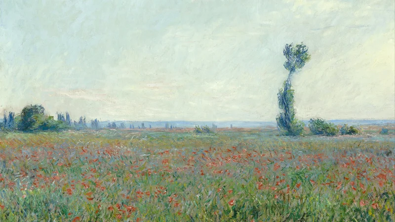 Claude Monet — Champ de coquelicots