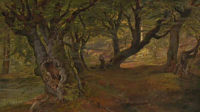 View of Bregentved Forest, Sjaeeland