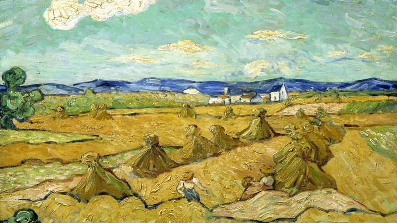 Os montes de milho