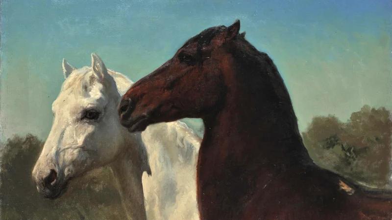 Two Horses