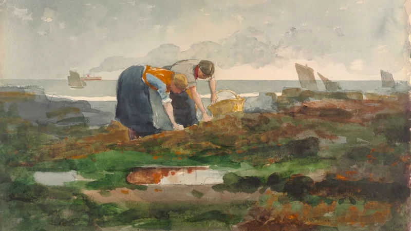 The Mussel Gatherers