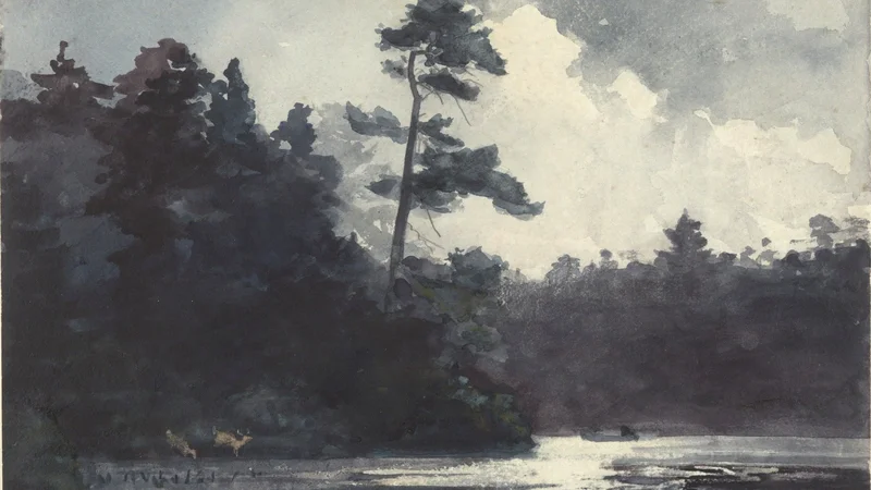 Winslow Homer — Adirondack Lake
