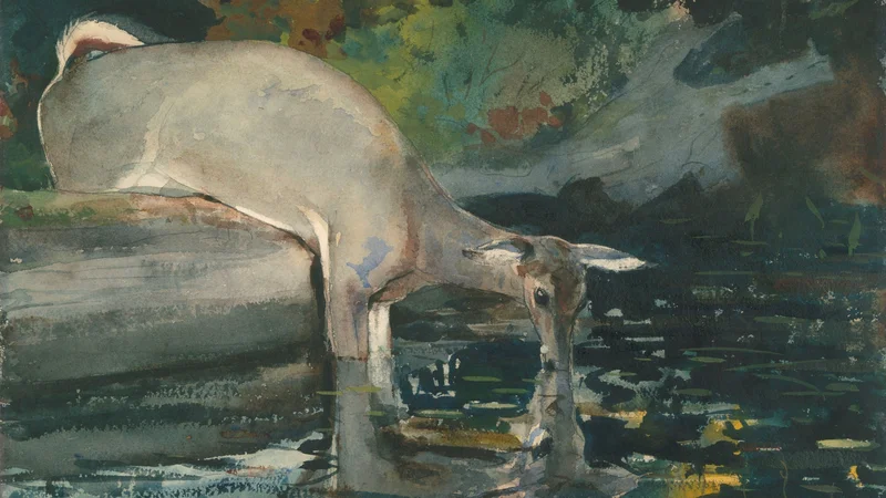 Winslow Homer — Deer Drinking