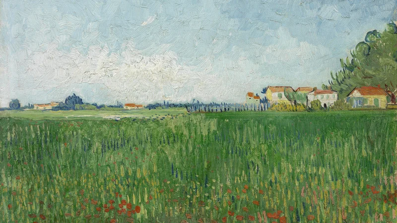 Vincent van Gogh — Field with Poppies
