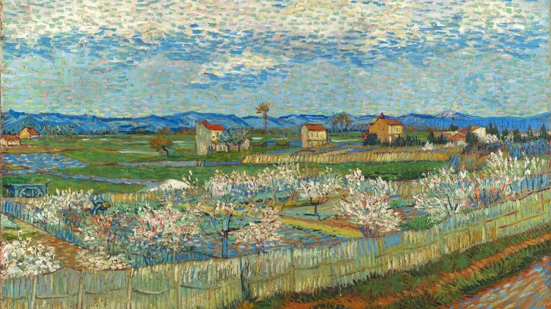 Peach Trees in Blossom