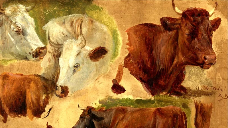 Studies of Standing Bulls