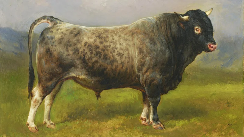 Rosa Bonheur — Le taureau gris