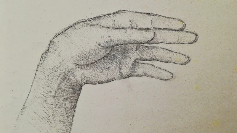 Alfred Freddy Krupa — The Study of the Hand