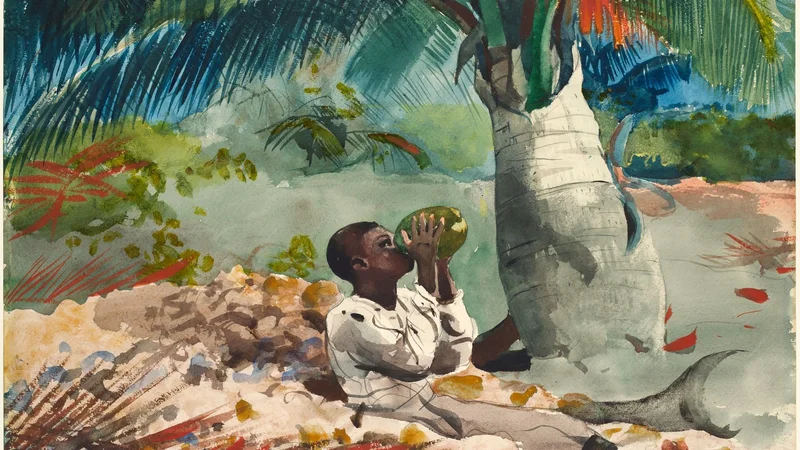 Winslow Homer — Unter der Kokospalme