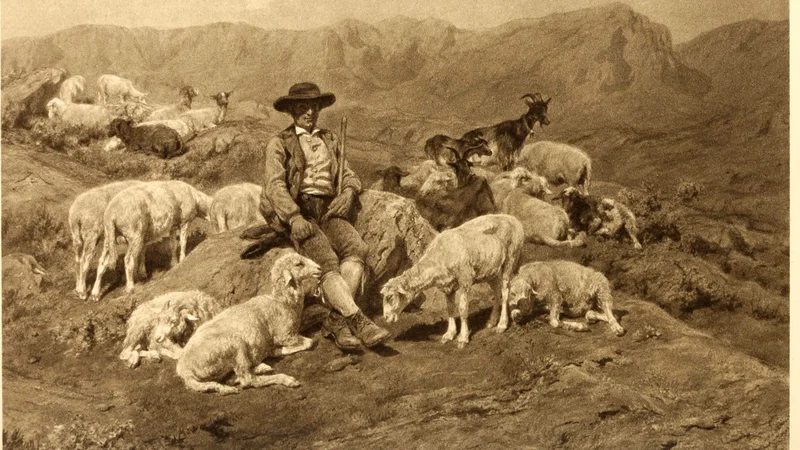 Rosa Bonheur — A Pyrenean Shepherd and his Flock