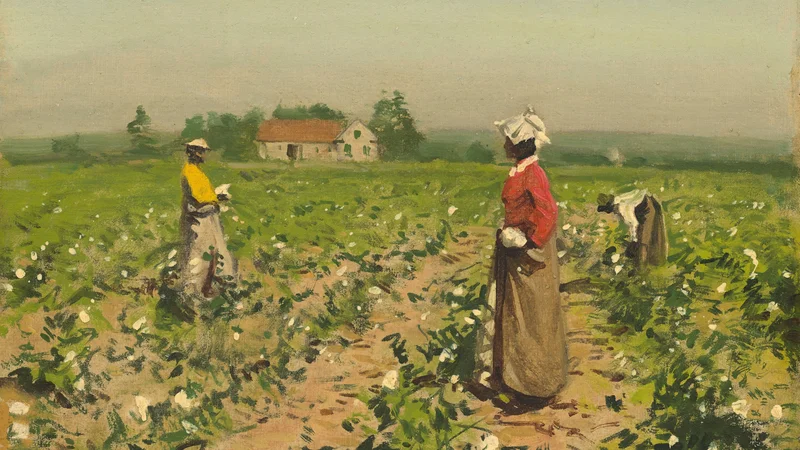 Picking Cotton