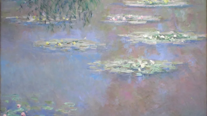 Waterlilies