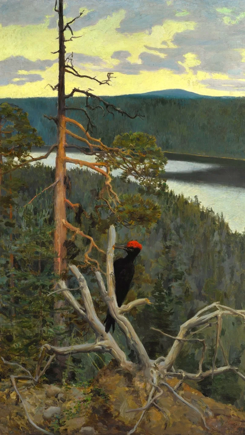 Akseli Gallen-Kallela — Great Black Woodpecker