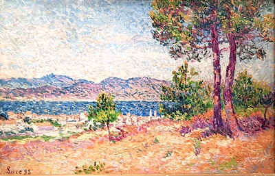 Landscape in Saint-Tropez