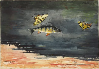 Fish and Butterflies