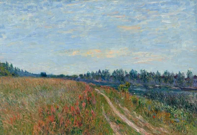 The Meadow