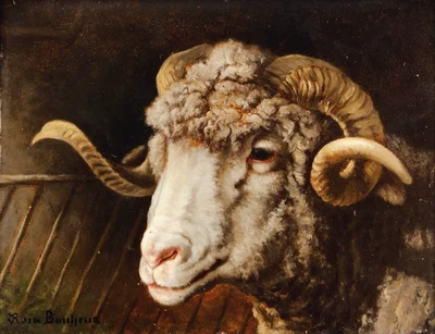 Head of a ram