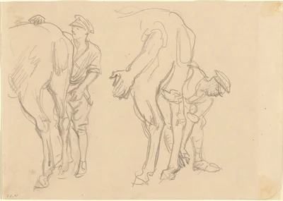 Studies for "Scots Grey"