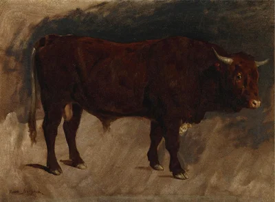 A Brown Bull in Profile