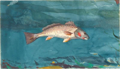 Channel Bass