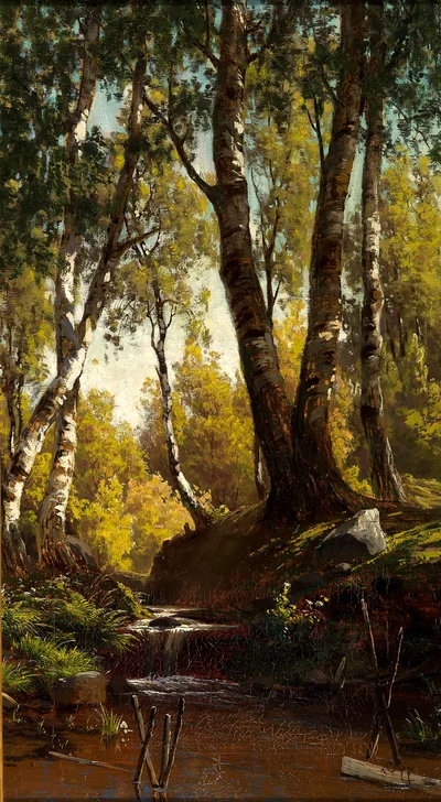 Forest Creek