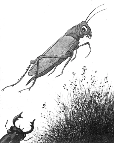 La Sauterelle (The Grasshopper)