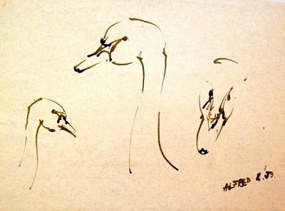 Swans