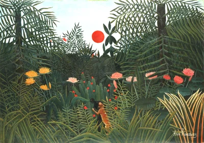 Forêt vierge au coucher du soleil