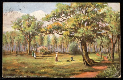 Coin du terrain de cricket, Highgate Woods