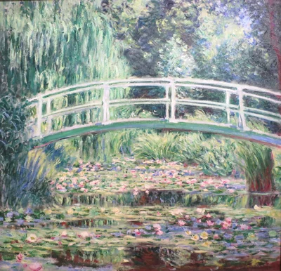 White Water Lilies