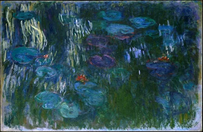 Water Lilies