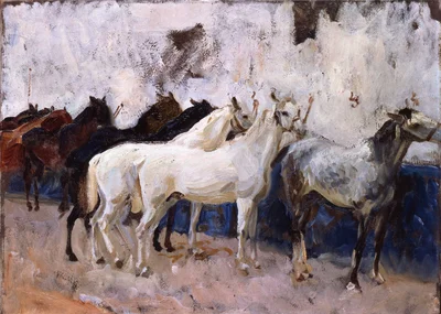 Horses at Palma