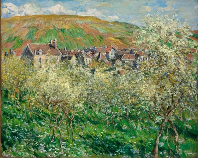 Flowering Plum Trees