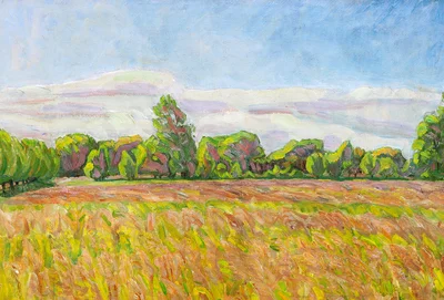 Grass on a meadow