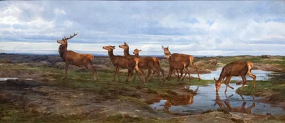 Une famille de cerfs